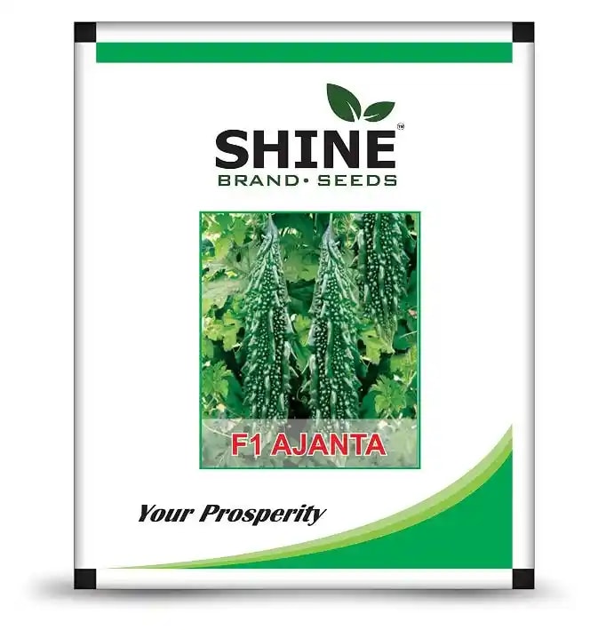 Bitter Gourd Ajanta Hybrid Seeds - Shine Brand Seeds, Karela Seed, Dark Green Color