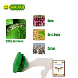 WAVAR Funnel Trap, Pectinophora Gossypiella, Effective For Pink Bollworm Pest Control In Crops 4