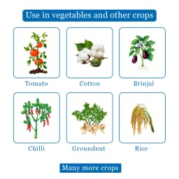 Hexario Fungicide - Hexaconazole 5% SC 4