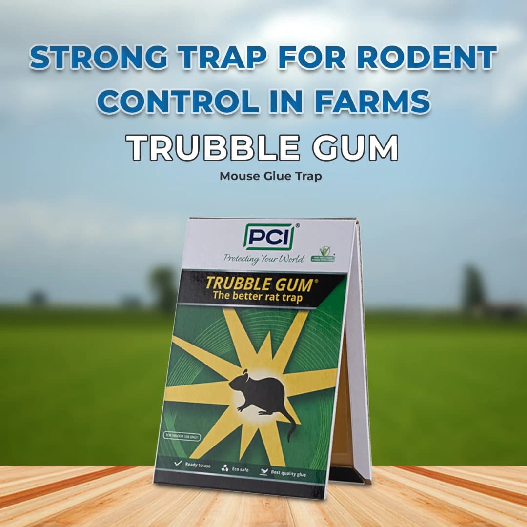 PCI Trubble Gum Mouse Glue Trap, Can Be Used In Houses, Kitchens, Warehouses, Offices - Image 2