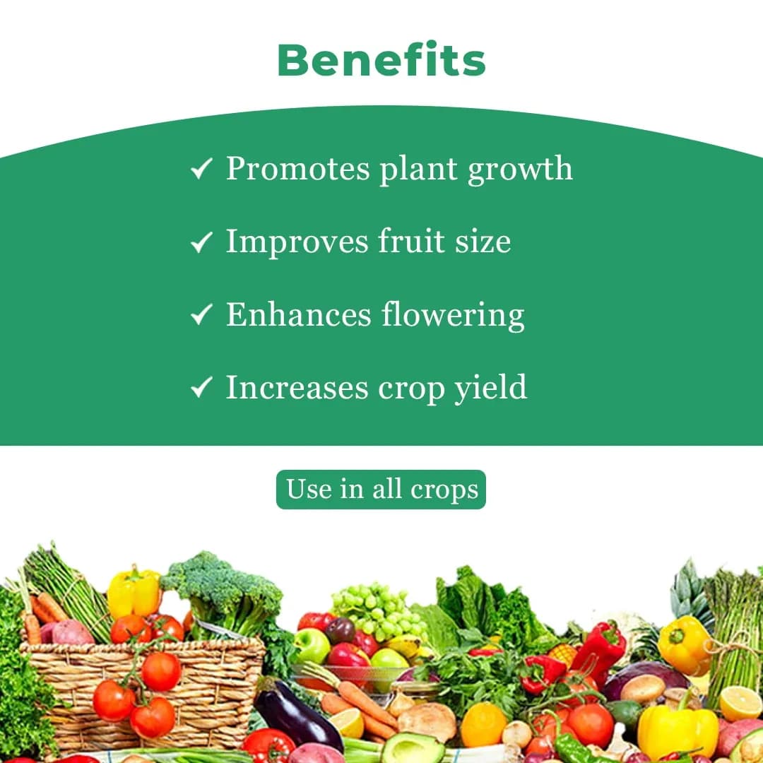 Bacf Nutrigibb - Plant Growth Regulator - Image 4