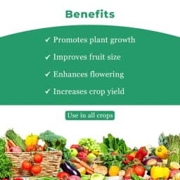 BACF Nutrigibb Gibberellic Acid 0.001% L, Plant Growth Regulator, For Better Yield 4