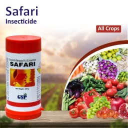 GSP Safari Emamectin Benzoate 5% SG Insecticide, Effective For Bollworm Thrips And Mites Control 3