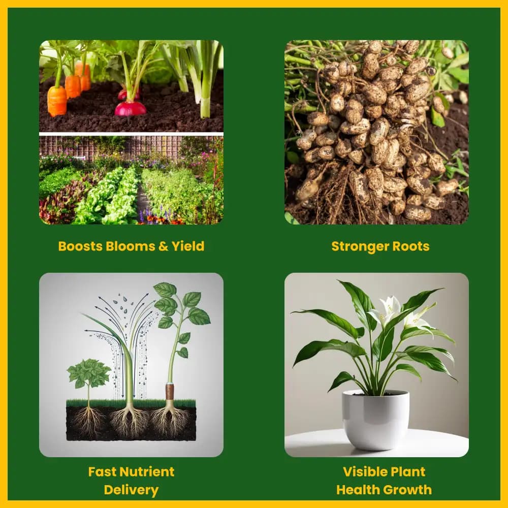 Utkarsh NPK 13:40:13 (Crystalline 100% Water Soluble Complex Fertilizer), Best for Drip Irrigation - Image 3