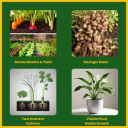 Utkarsh NPK 13:40:13 (Crystalline 100% Water Soluble Complex Fertilizer), Best for Drip Irrigation 3