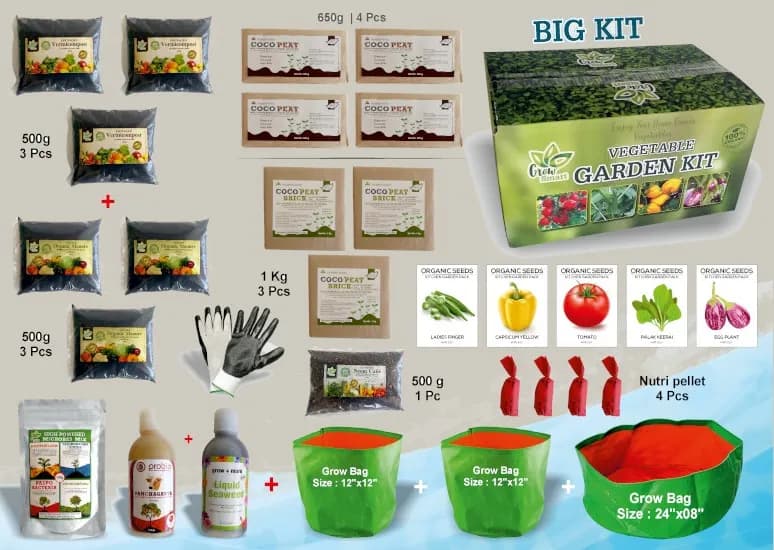 Pioneer VEGETABLE GARDENING KIT, Kitchen Garden Kit Perfect choice for Beginners with All Accessories - Image 9