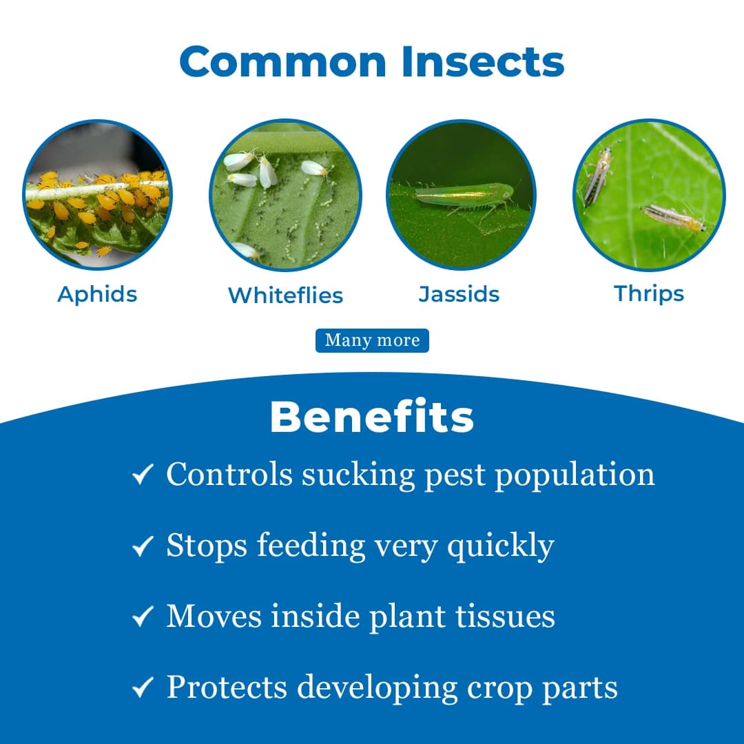 Exylon Dronex Insecticide - Dinotefuran 20% SG - Image 3