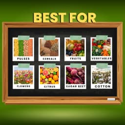 Katyayani Zinc Sulphate Monohydrate 33% Fertilizer Enhances Plant Growth and Development 5