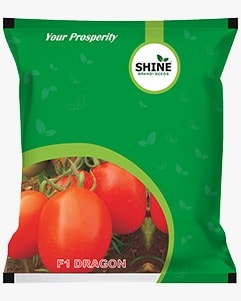 Tomato Dragon F1 Hybrid - Shine Brand Seeds, Tamatar Ke Beej, Vegetable Seeds
