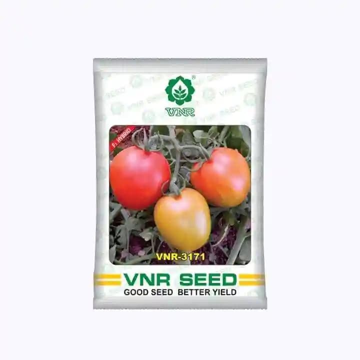 VNR 3171 Tomato Seeds, Oblong Fruit Shape With Good Toughness, High Yield Variety