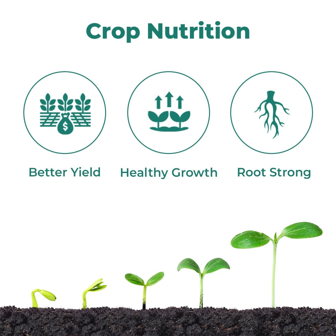 BACF Mixon Mix Micronutrient , Provides Plant Nutrition In a Wide Variety of Agriculture, Horticulture, and Ornamental Crops - Image 3