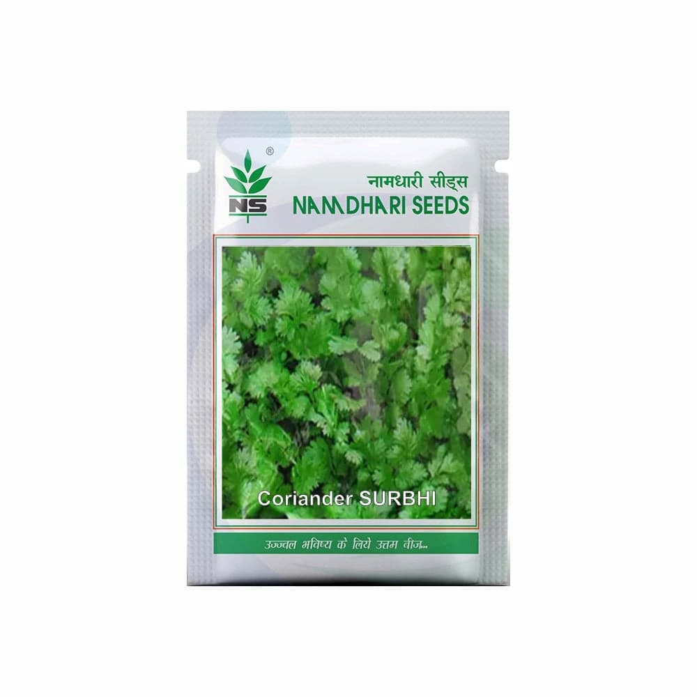 Namdhari Surbhi Coriander Vegetable Seeds, Dhaniya Beej, Suitable for Multiple Cuts, Late-Bolting Variety and Can Be Grown Round the Year
