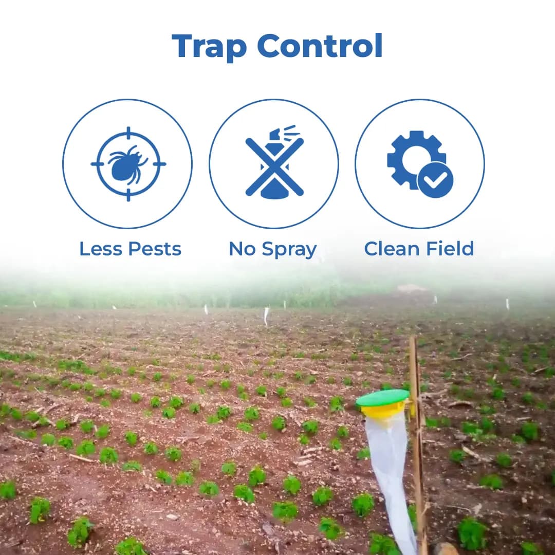 फ़नल ट्रैप, स्पोडो ओ ल्यूर (स्पोडोप्टेरा लिटुरा फेरोमोन) तम्बाकू, कपास, लाल चना, टमाटर और मिर्च के लिए उपयोगी। - Image 3