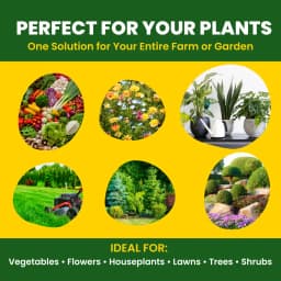 Utkarsh SOP (00:00:50 + 17.5 S) (Potassium Sulphate) K2SO4 (100% Water Soluble Fertilizer) Foliar Spray Nutrition 5