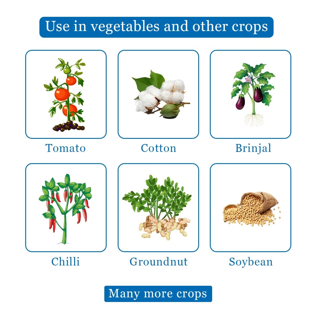 Katyayani Chakrawarti Thiamethoxam 12.6% + Lambda cyhalothrin 9.5% ZC Dual Mode Insecticide For Plants - Image 4