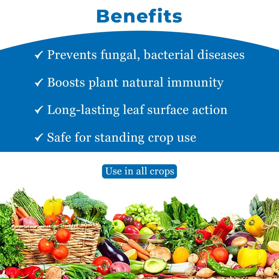 Katyayani COC 50 Copper Oxychloride 50% WP Fungicide, Effective Control Of Wide Range Of Fungal Diseases - Image 4