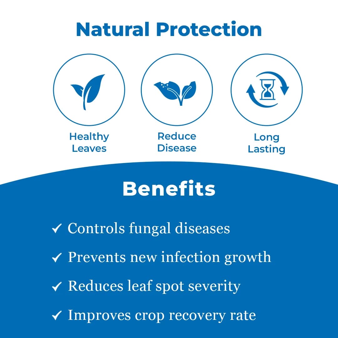 Dhanuka Zanet Fungicide - Thiophanate Methyl 38% + Kasugamycin 2.21% SC - Image 3