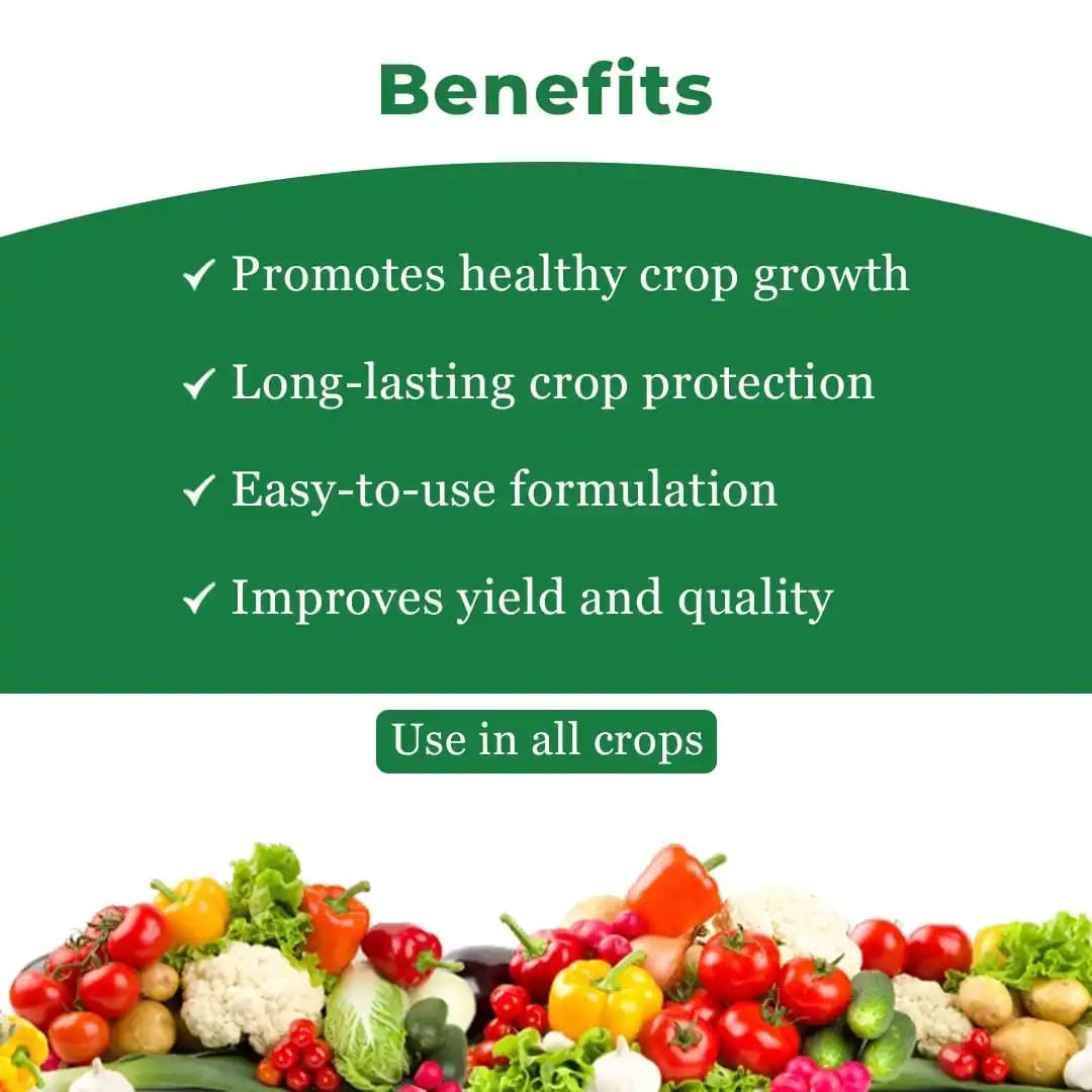 Indofil M-45 Mancozeb 75% WP, A Broad Spectrum Fungicide with Protective Action - Image 4