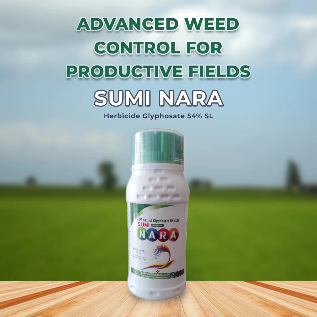 Sumi Nara Herbicide Glyphosate 54% SL Non Selective Systemic Herbicide with Rapid Translocation - Image 2