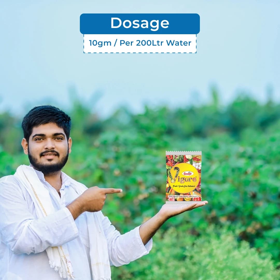 जियोलाइफ विगोर फ्रूट साइज एन्हांसर: सभी फसलों के लिए जैविक उपज संवर्धक, जड़ से लेकर शोट तक पौधों का सम्पूर्ण विकास - Image 5