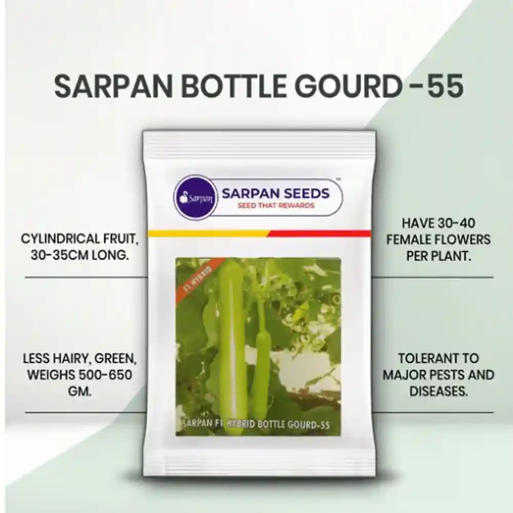 Sarpan F1 Hybrid Bottle Gourd-55, Very High Yield, Less Hairy Fruit Green Color, For All Seasons - Image 1