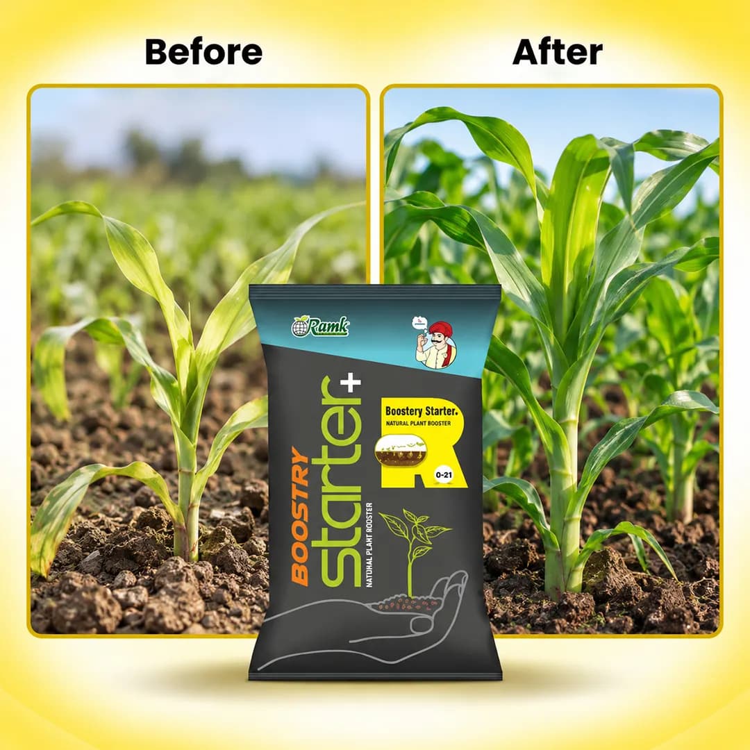 Ramk Boostry Starter + Plant Growth Promoter, High Quality Growth Promoter, Soil Conditioner, Bio Stimulant - Image 3