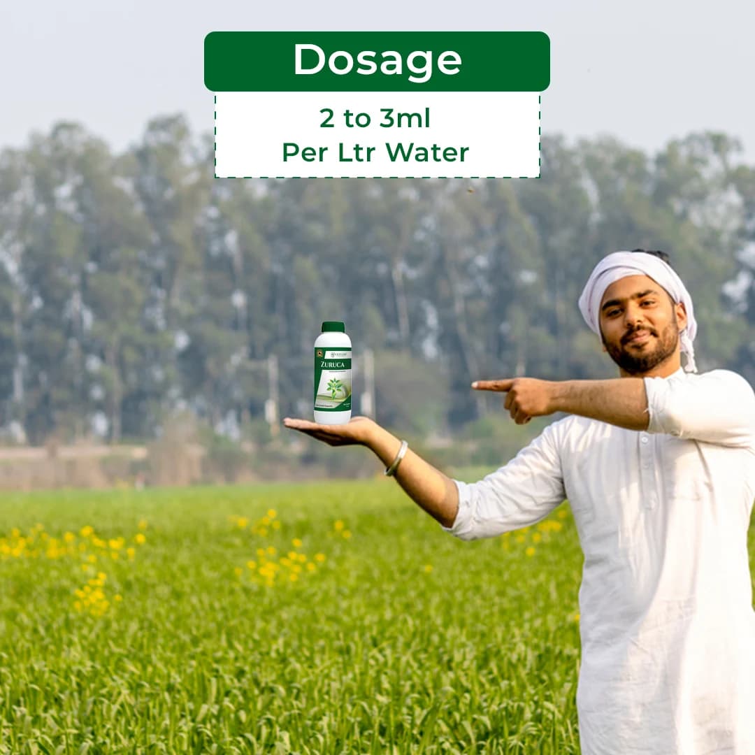 Exylon Zuruca Amino Acid & Vitamin Plant Growth Regulator, Bio-Stimulant for Growth & Stress Resistance For All Crops - Image 5