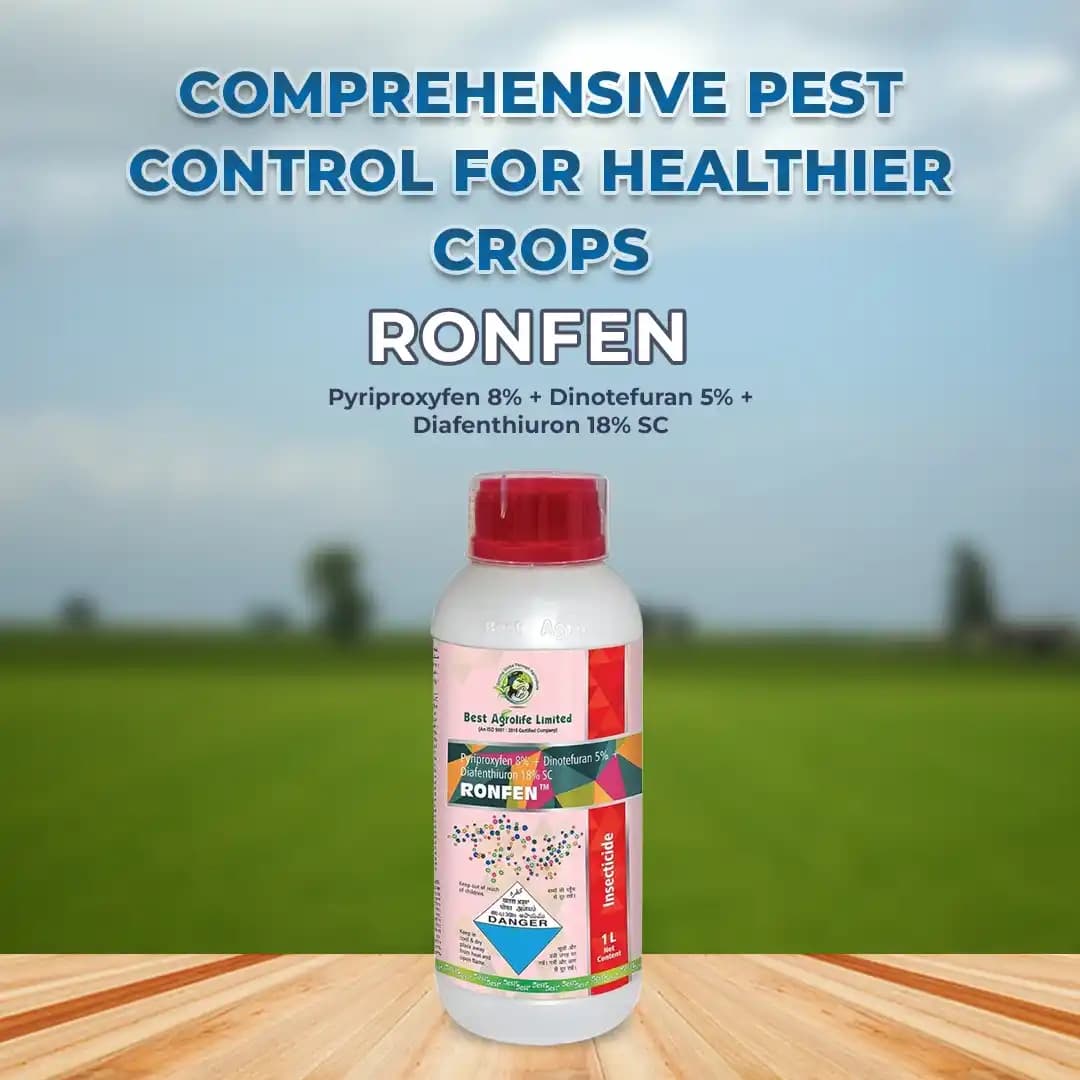 बेस्ट एग्रोलाइफ रॉनफेन पायरिप्रोक्सीफेन 8% + डिनोटेफ्यूरान 5% + डाइफेंथिओरन 18% एससी, बैंगन, टमाटर, कपास में माहूँ, जैसिड और सफ़ेद मक्खियों का नियंत्रण - Image 2