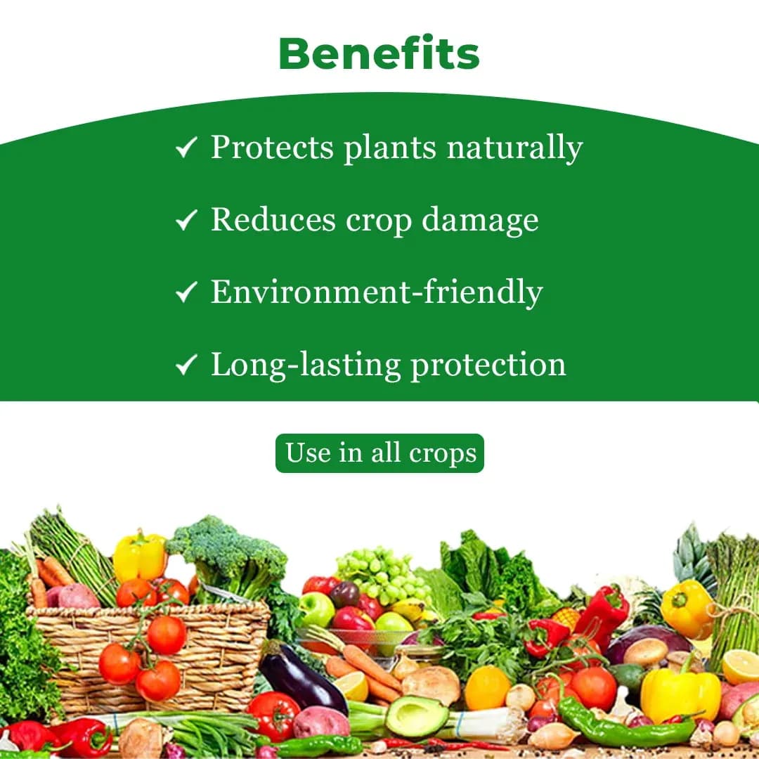 Dr. Bacto\'s Brave, Beauveria Bassiana, Bio Pesticide, Effective On Catter Piller, Grubs, Whitefly, Aphids, Borers, Leafhoppers, Cutworms and Thrips - Image 4