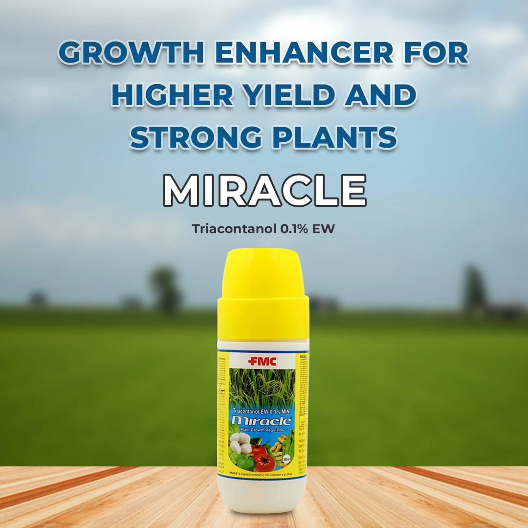 FMC Miracle Triacontanol 0.1% EW Crop Nutrition, Enhances the Vegetative Growth of the Plants