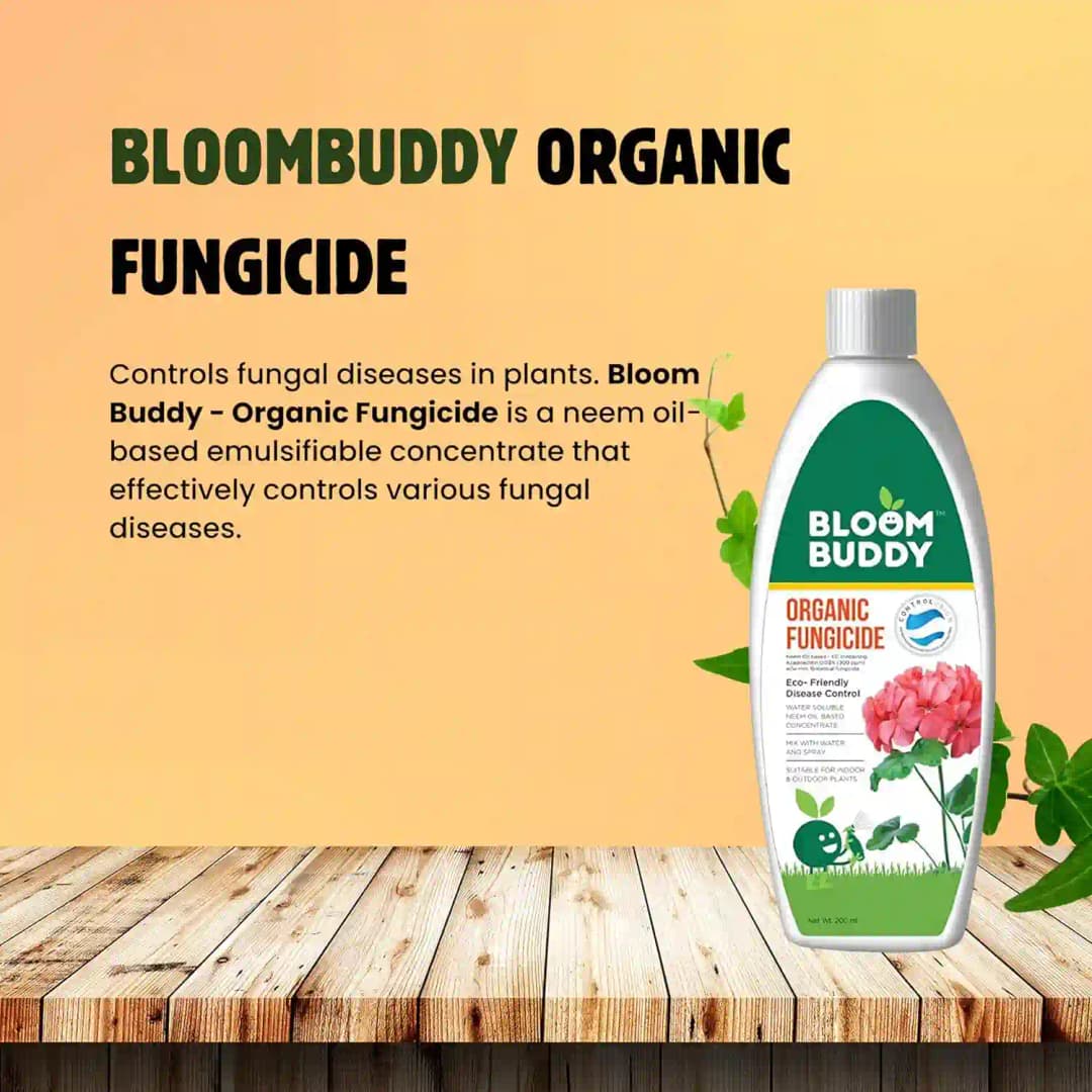 Bloom Buddy Eco Friendly Fungicide For Effective Control Of Wide Range Of Fungal Disease - Image 4