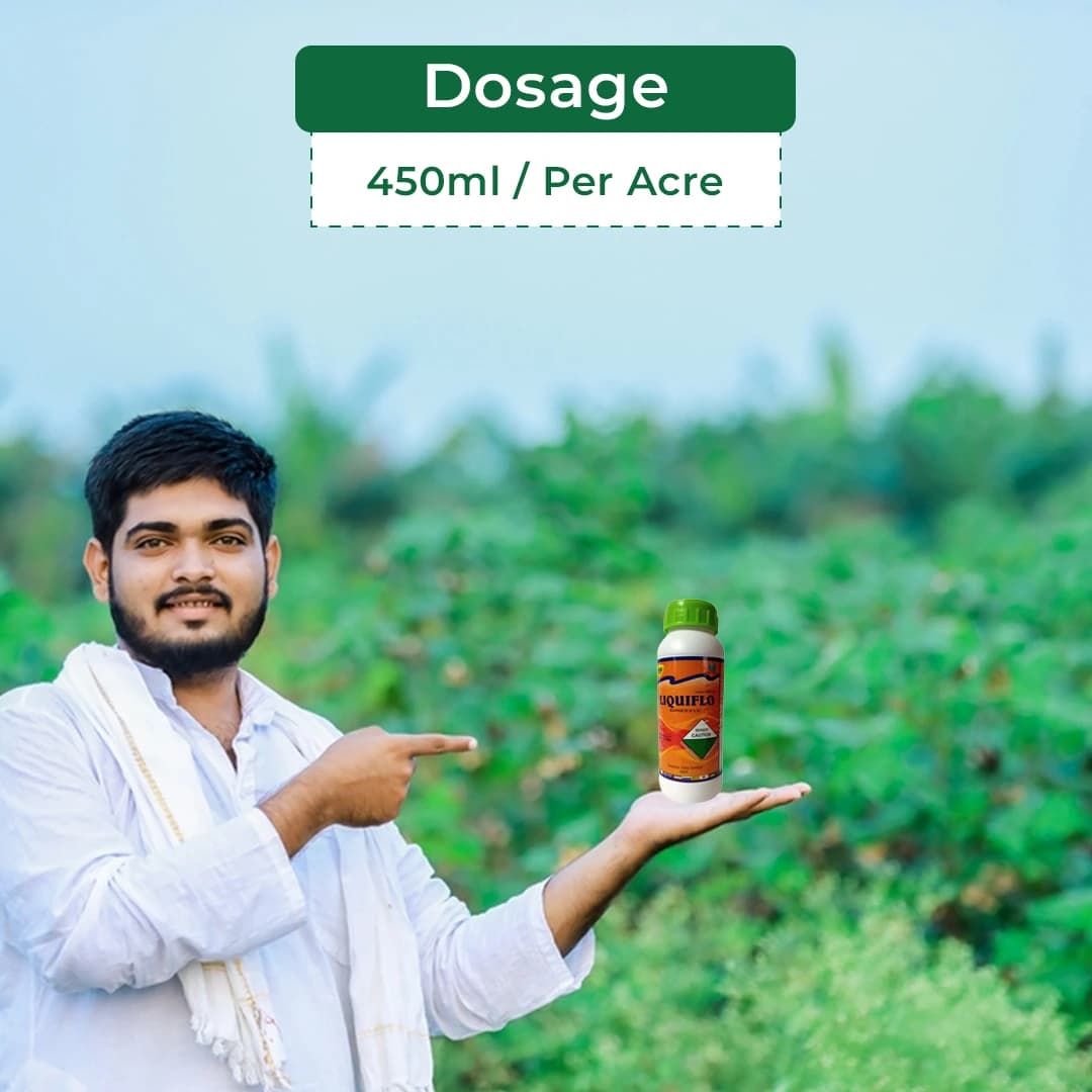 SML LIQUIFLO Sulphur 55.16% SC Fungicide is Contanct Fungicide, Used for the Control of Powdery Mildew of Grape In Crops - Image 5