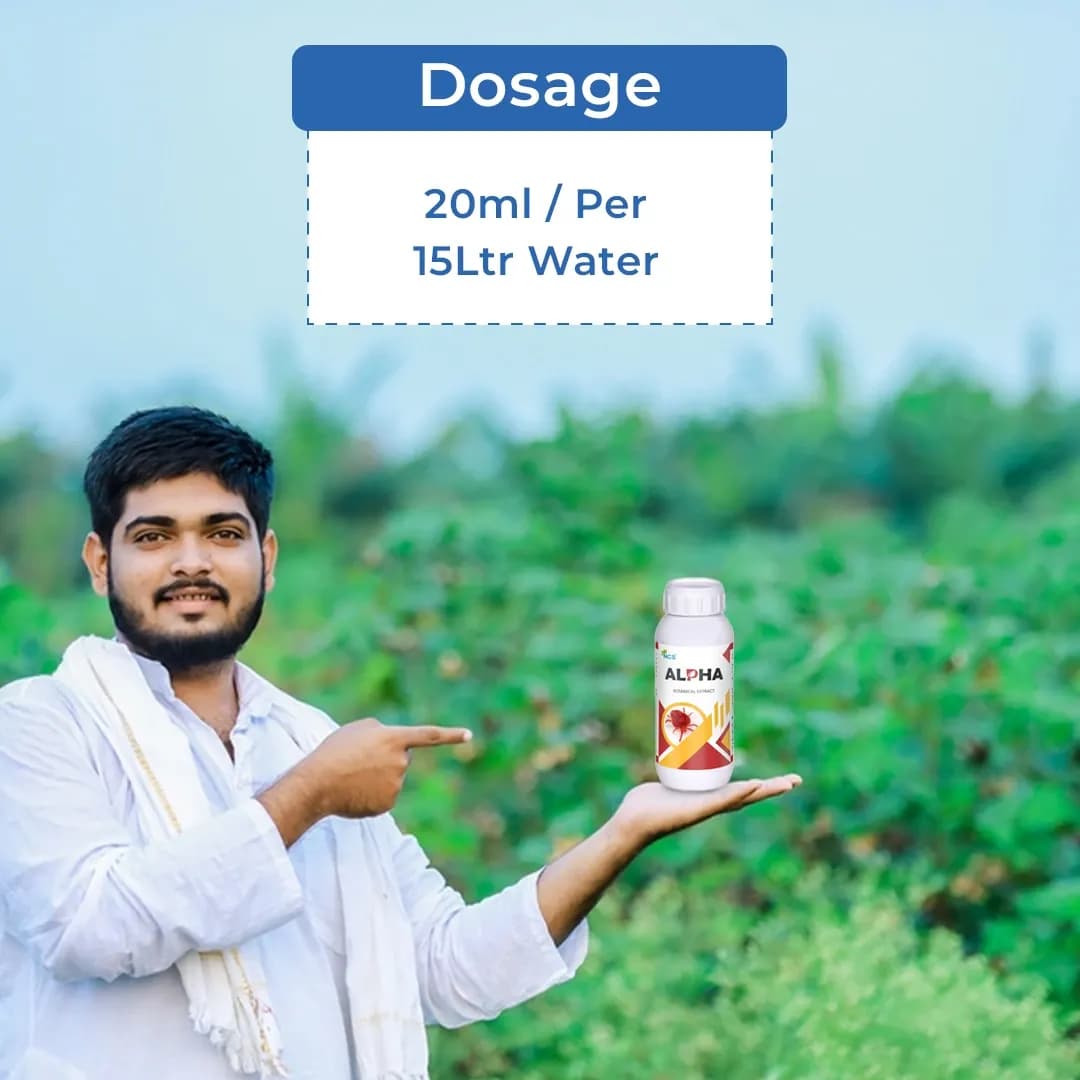 अल्फा - थ्रिप्स और मकड़ी के लिए जैविक और पर्यावरण अनुकूल उपाय विशेष, सभी कृषि फसलों के लिए उपयोगी, उन्नत जैव टैकनोलजी पर आधारित - Image 5
