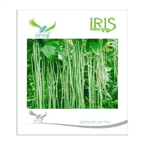 Iris Hybrid Vegetable Seeds Yardlong Beans, Valor Na Bee, Best For All Season (15 Nos.) - Image 1
