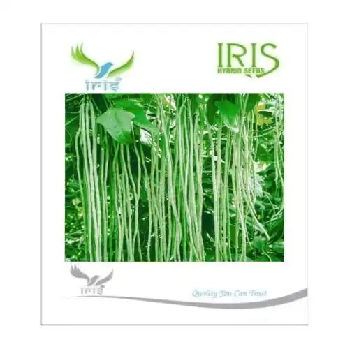 Iris Hybrid Vegetable Seeds Yardlong Beans, Valor Na Bee, Best For All Season (15 Nos.)