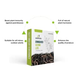 Green Era Enriched Vermi Lite, Organic Ready to Use Vermi Compost Fertilizer, Soil Manure For Plants 3