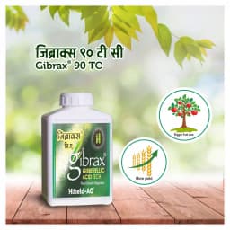 Hifield Ag Gibrax 90 TC Gibberellic Acid 90% Tech Plant Growth Regulator , Helps In Increasing The Yield Quantity 2