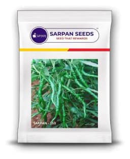 Sarpan - 153 Chilli Seeds, Green Glossy Fruits, Hot Spicy, Highly Tolerant 1