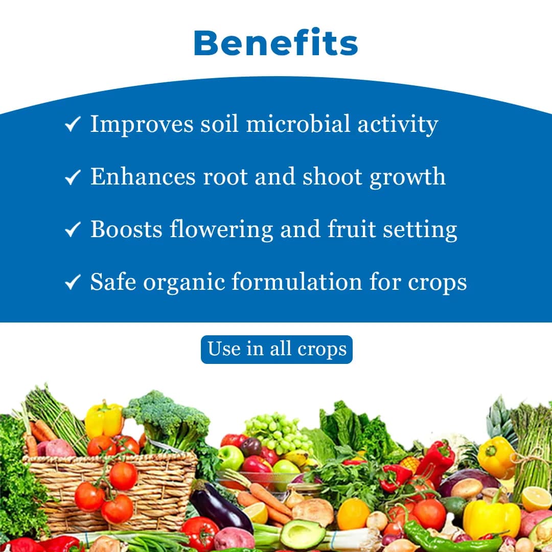 जीवामृतम जैविक लिक्विड प्लांट ग्रोथ प्रमोटर। जो पौधे की वृद्धि को बढ़ाता है और अच्छी उपज देता है। - Image 4