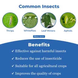 एनबी नीम - नीम ऑयल 345 पीपीएम, घुलनशील, थ्रिप्स, सफ़ेद मक्खियों, माहूँ, लीफ माइनर्स और बग्स के खिलाफ़ सबसे अच्छा, कीटों की वृद्धि को कम करता है 3