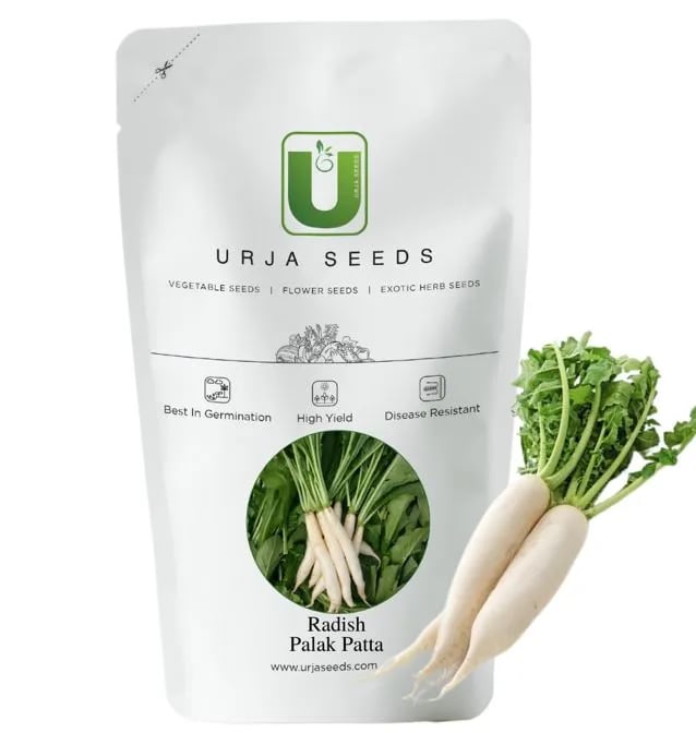 Urja Radish Palak Patta Seeds, Long and Slightly Thick Roots, Best Variety