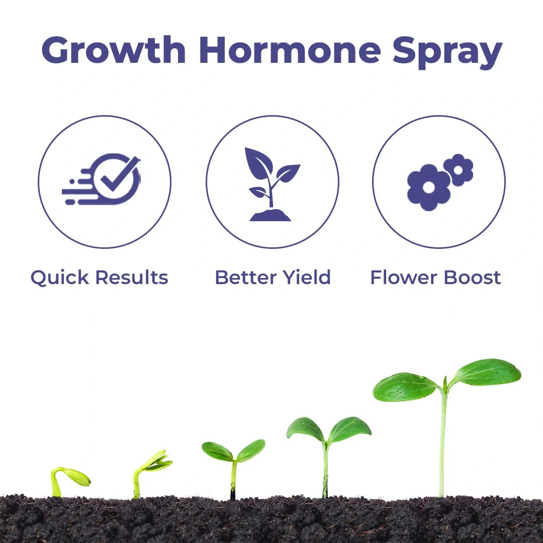 Sumitomo Hoshi Ultra Plant Growth Regulator, Gibberellic Acid 0.001% With Micro Nutrients - Image 3