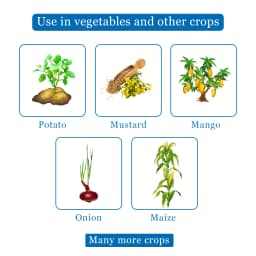 Tata Rallis Tafgor Dimethoate 30% EC Insecticides, Controlling the Sucking and Caterpillar Pests. 4