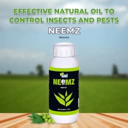 Neemz - Natural and Water-Soluble Neem Oil to Reduce Insect Growth, Effective Against Thrips, Whiteflies, Aphids, Leaf Miners, and Bugs 2