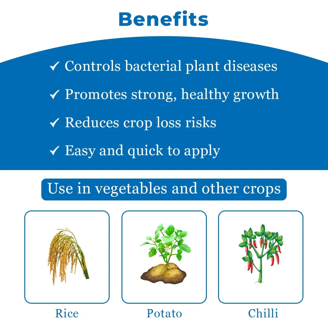 JU Strepto Plus Broad Spectrum bactericide for Plant Disease Control - Image 4