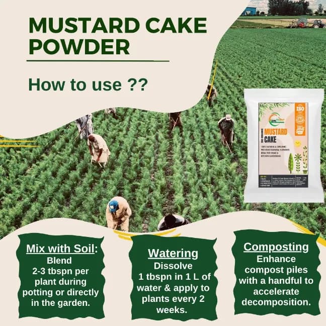 Cropkraft Mustard Cake, Natural Organic Fertilizer For Thriving Plants, Protect Plants From Soil-borne Pests And Pathogens. - Image 4