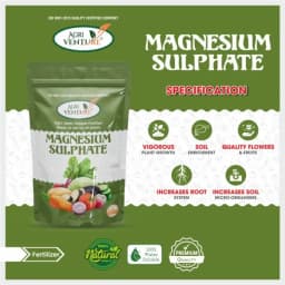 Agriventure Magnesium Sulphate 9.5%, Imported 100% Water Soluble Fertilizer, Increases Greenness and Ultimately Results in Yield and Crop Quality 3
