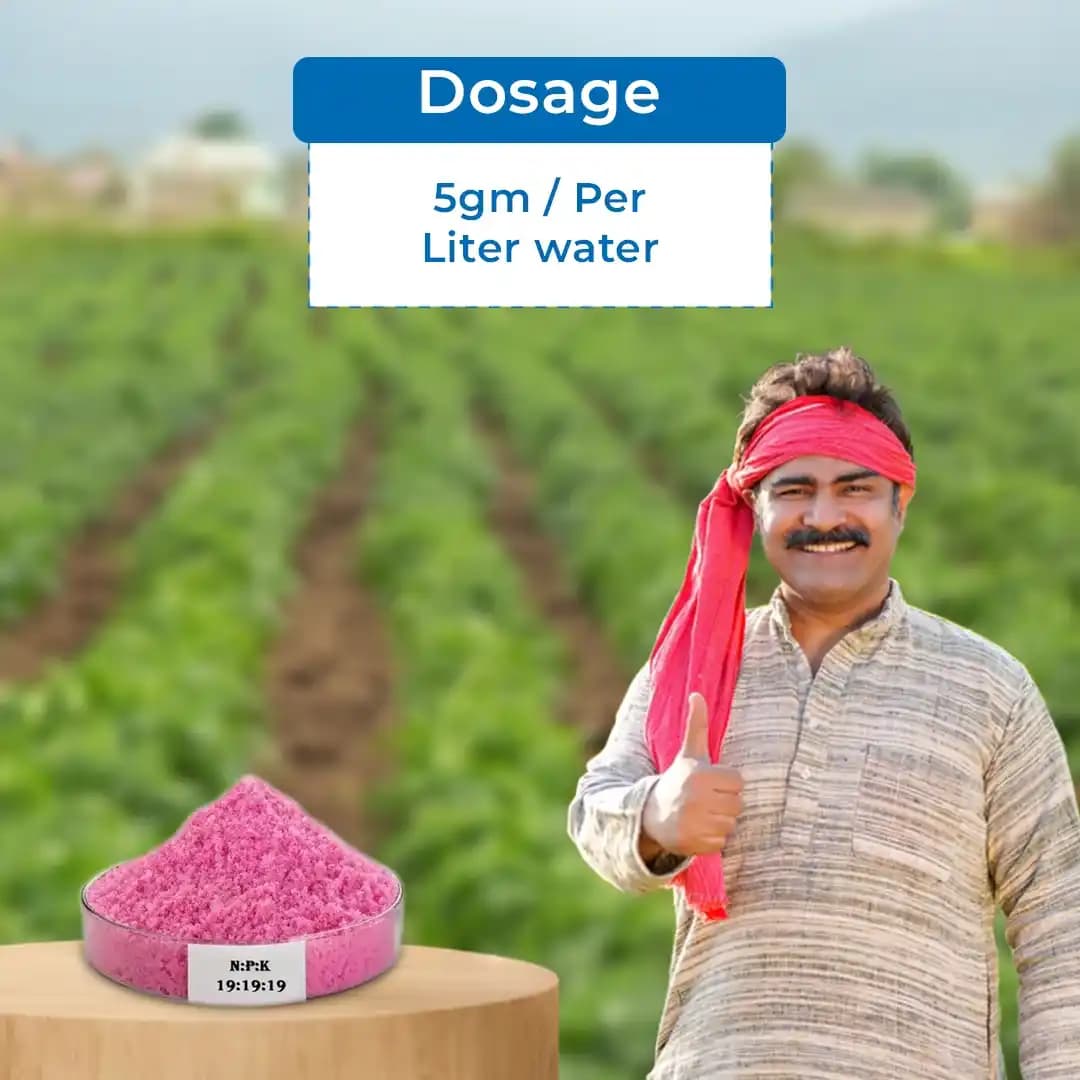 NPK 19:19:19 Fertilizer - 100% Water Soluble - Image 5