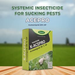 Katyayani K-Acepro Insecticide - Acetamiprid 20% SP 2