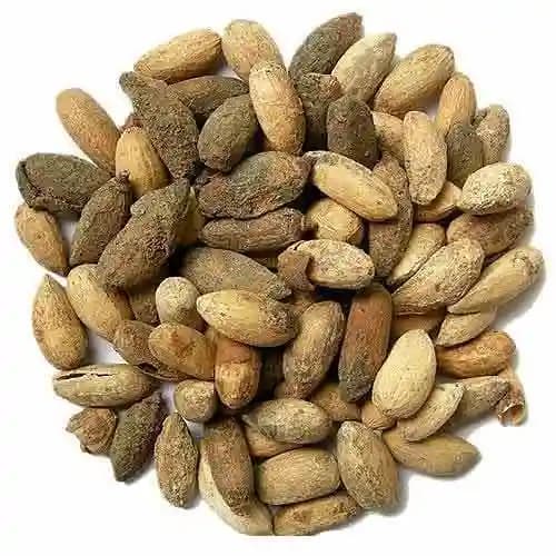 VEMBU-NEEM SEEDS Enhance the beauty of garden, landscapes, commercial crops
